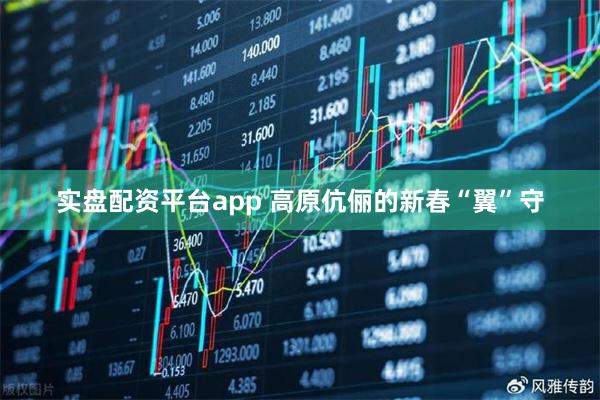 实盘配资平台app 高原伉俪的新春“翼”守